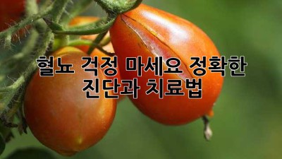 혈뇨, 걱정 마세요! 정확한 진단과 치료법