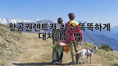 🤯 항공권-렌트카 취소? 똑똑하게 대처하는 법! 🚗